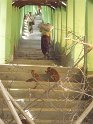 Myanmar 255
